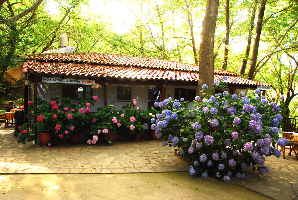Parselia Rooms Therma  Pokoj fotografie
